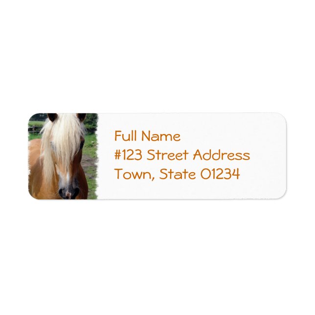 Palomino Horse Return Address Label (Front)