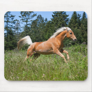 Palomino Horse Running through a Meadow Mouse Mat