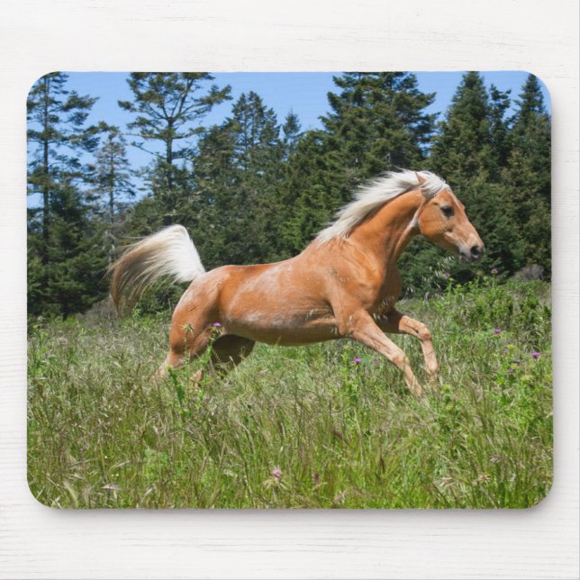 Palomino Horse Running through a Meadow Mouse Mat (Front)