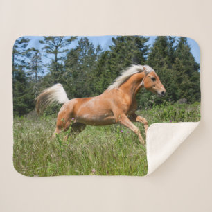 Palomino Horse Running through a Meadow Sherpa Blanket