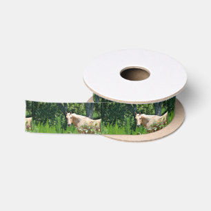 Palomino Horse Satin Ribbon Spool