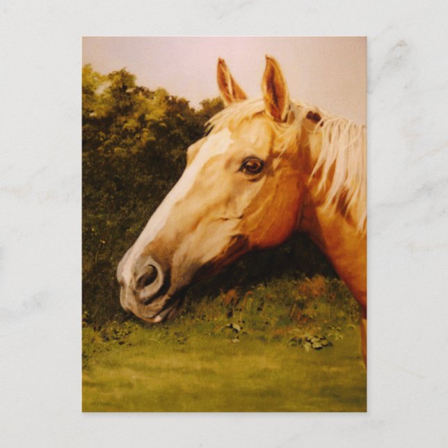 Palomino Horse with White Blaze Postcard (Front)
