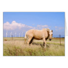 Palomino Horse with Windmills Card