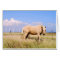 Palomino Horse with Windmills Card