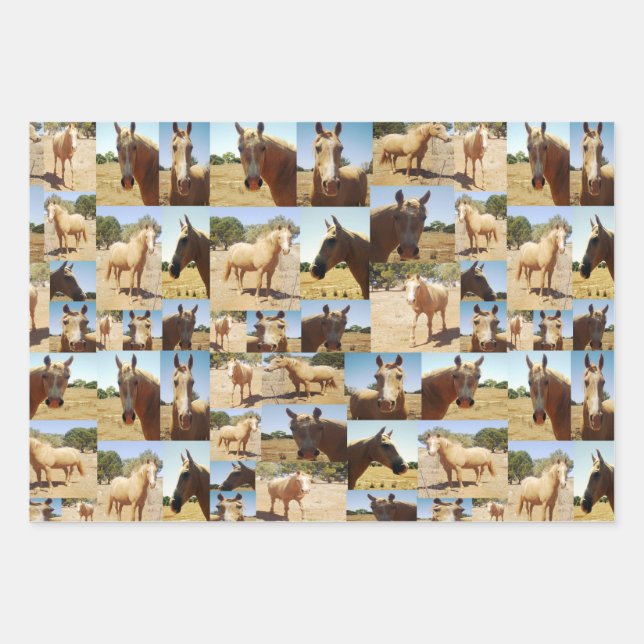 Palomino Horses Collarge,  Gift Wrap Sheets, (Front)