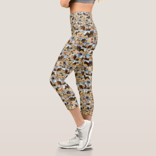 Palomino Horses Photo Collage, Capri Leggings