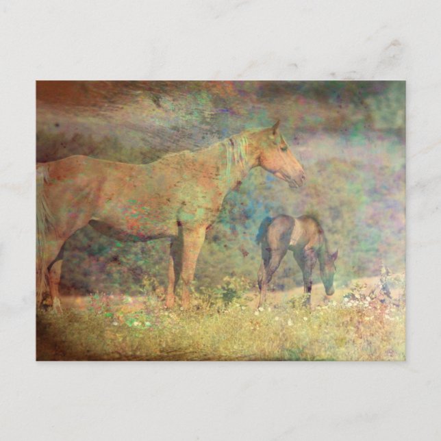 Palomino Mare and Foal Postcard (Front)
