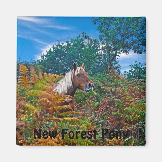 Palomino New Forest Pony Horse-lover's Gift Magnet (Front)