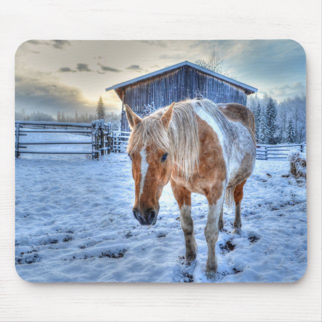 Palomino Paint Horse and Barn Equine Photography Mouse Mat (Front)
