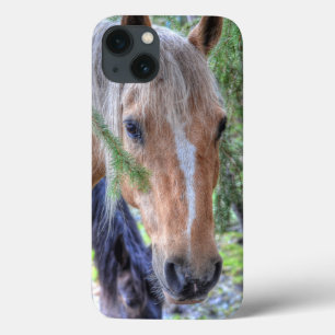 Palomino Paint Horse and Branches for Horse-lovers iPhone 13 Case