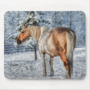 Palomino Paint Horse and Snow Equine Photography Mouse Mat