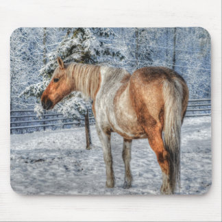 Palomino Paint Horse and Snow Equine Photography Mouse Mat