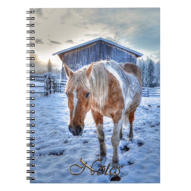 Palomino Paint Horse-lover's Equine Design Notebook (Front)