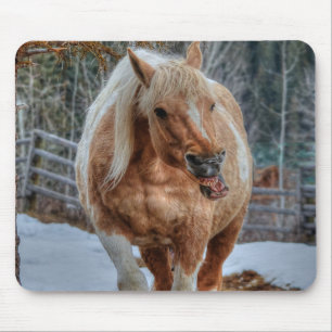 Palomino Paint Ranch Horse Equine Photography Mouse Mat