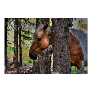 Palomino Paint Stallion & Forest Equine Photo Poster