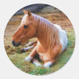 Palomino Pinto Horse Resting Artwork Classic Round Sticker
