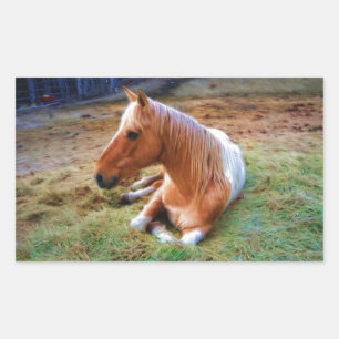 Palomino Pinto Horse Resting Artwork Rectangular Sticker
