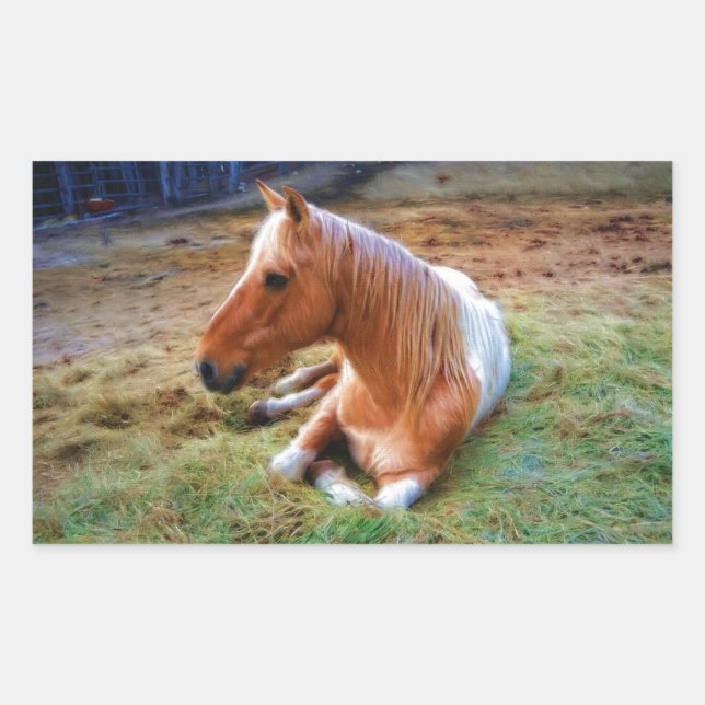 Palomino Pinto Horse Resting Artwork Rectangular Sticker (Front)