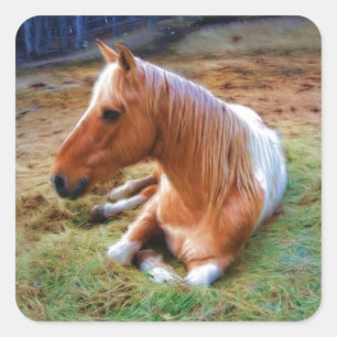 Palomino Pinto Horse Resting Artwork Square Sticker