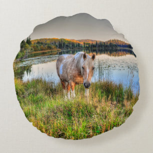 Palomino Pinto Paint Stallion by a Lake Round Cushion