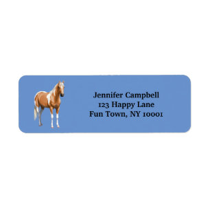 Palomino Pinto Quarter Horse Paint Horse Stallion