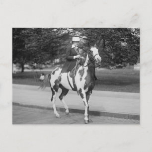 Palomino Pony, 1915 Postcard