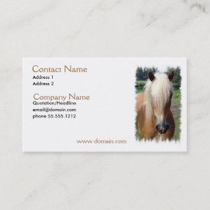 Palomino Quarter Horse Business Card