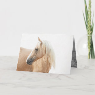 Palomino Stallion Turns  Horse Greeting Card