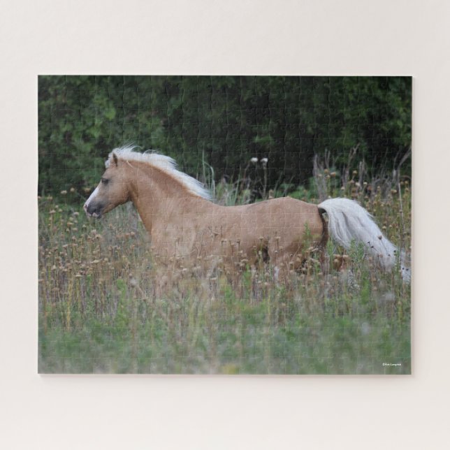 Palomino Welsh Pony Running In Long Grass Jigsaw Puzzle (Horizontal)