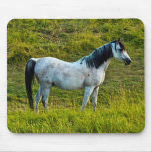 Palouse horse, Colfax, Palouse Area, Washington Mouse Mat