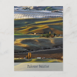 Palouse Sunrise Postcard