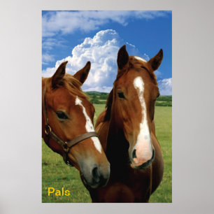 Pals Poster