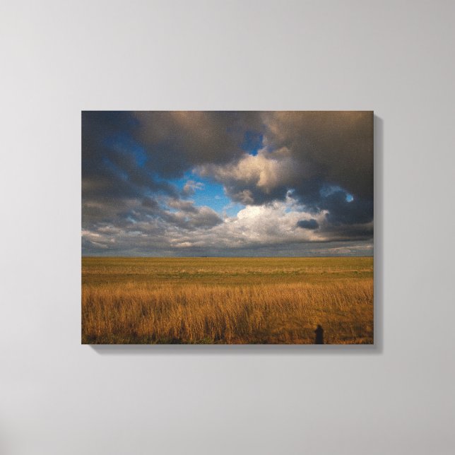 Pampas Canvas Print (Front)