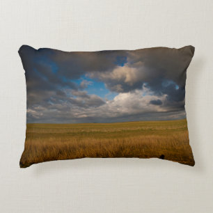 Pampas Decorative Cushion