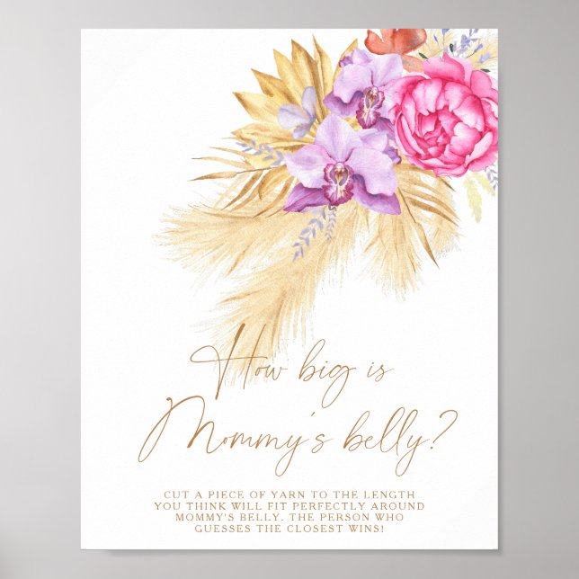 Pampas grass - how big is mummy's belly game  poster (Front)