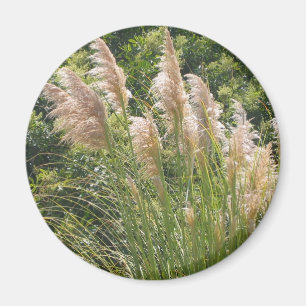 Pampas Grass Magnet