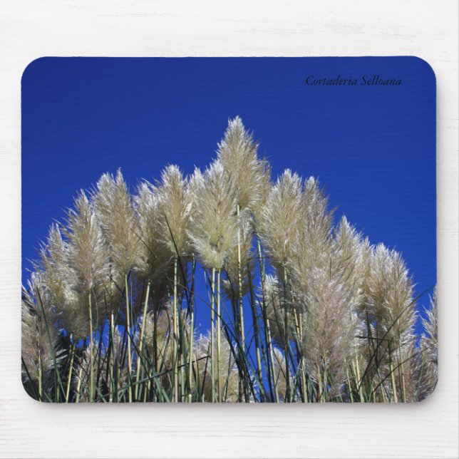 Pampas Grass Mousmat Mouse Mat (Front)