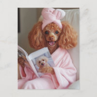 Pampered Poodle Reading Day