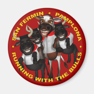 Pamplona Magnet