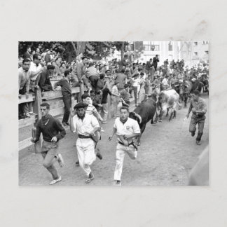 Pamplona Spain Running of the Bulls Postcard