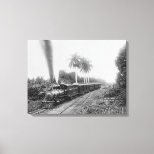 Pan American Central Railroad in Guatemala Canvas Print