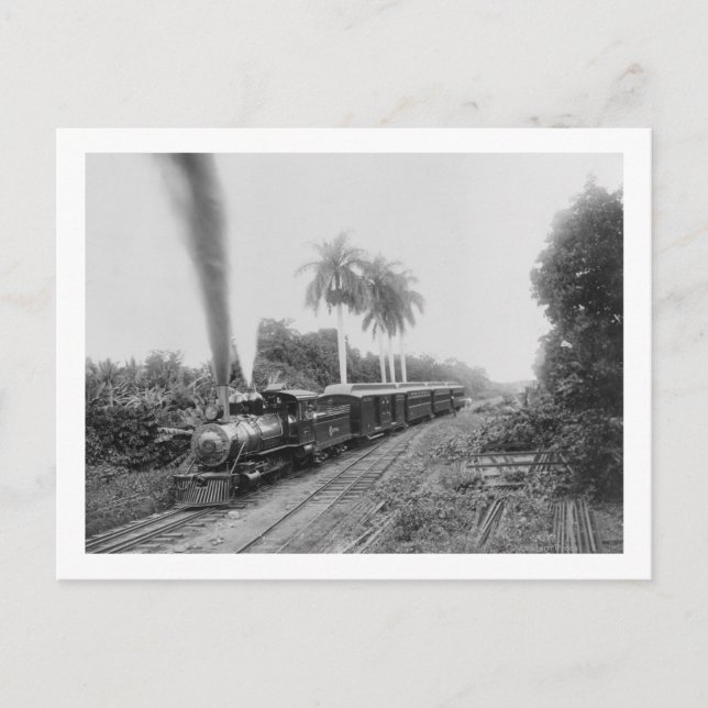 Pan American Central Railroad in Guatemala Postcard (Front)