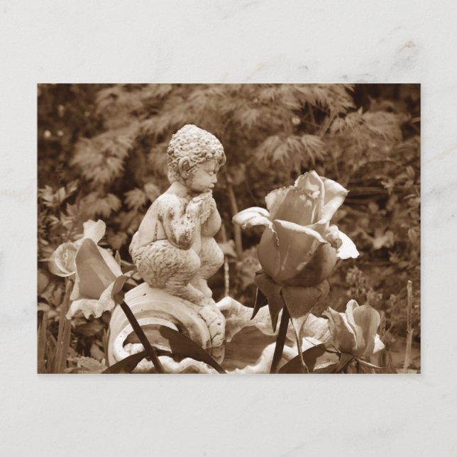 Pan Garden postcard (Front)