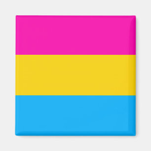 Pan pride flag magnet