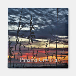 panama city beach magnet