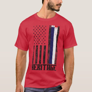 Panama Hispanic Heritage distressed flag T-Shirt
