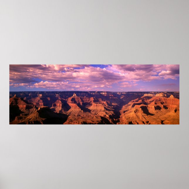 Panarama 25 poster (Front)