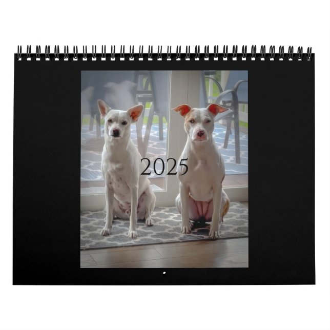 Pancake and milkshake, medium calendar (Cover)