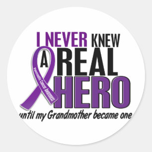 Pancreatic Cancer NEVER KNEW A HERO 2 Grandmother Classic Round Sticker