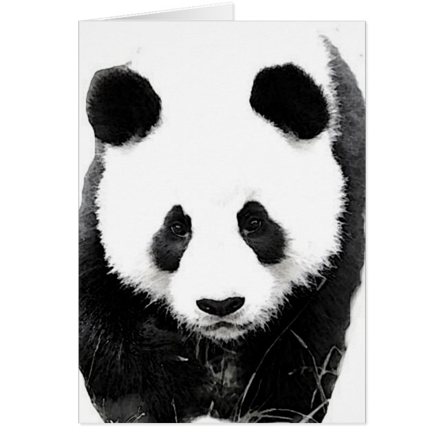 Panda (Front)